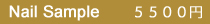 5500_sub_title.jpg