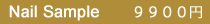 9900_sub_title.jpg