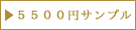 5500_design