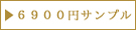 6900_design