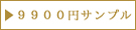 9900_design